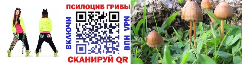 Псилоцибиновые грибы Magic Shrooms  mega зеркало  Заречный  купить наркотик 